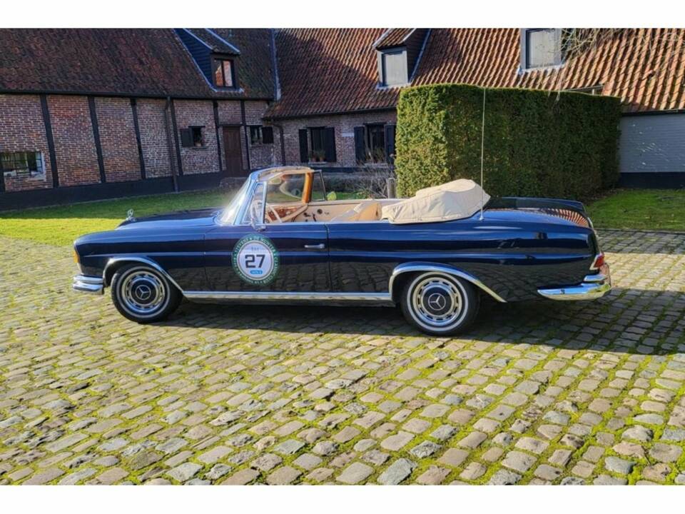 Imagen 3/8 de Mercedes-Benz 250 SE (1965)
