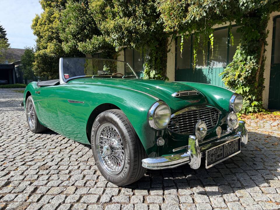 Image 14/37 de Austin-Healey 100/6 (BN6) (1958)