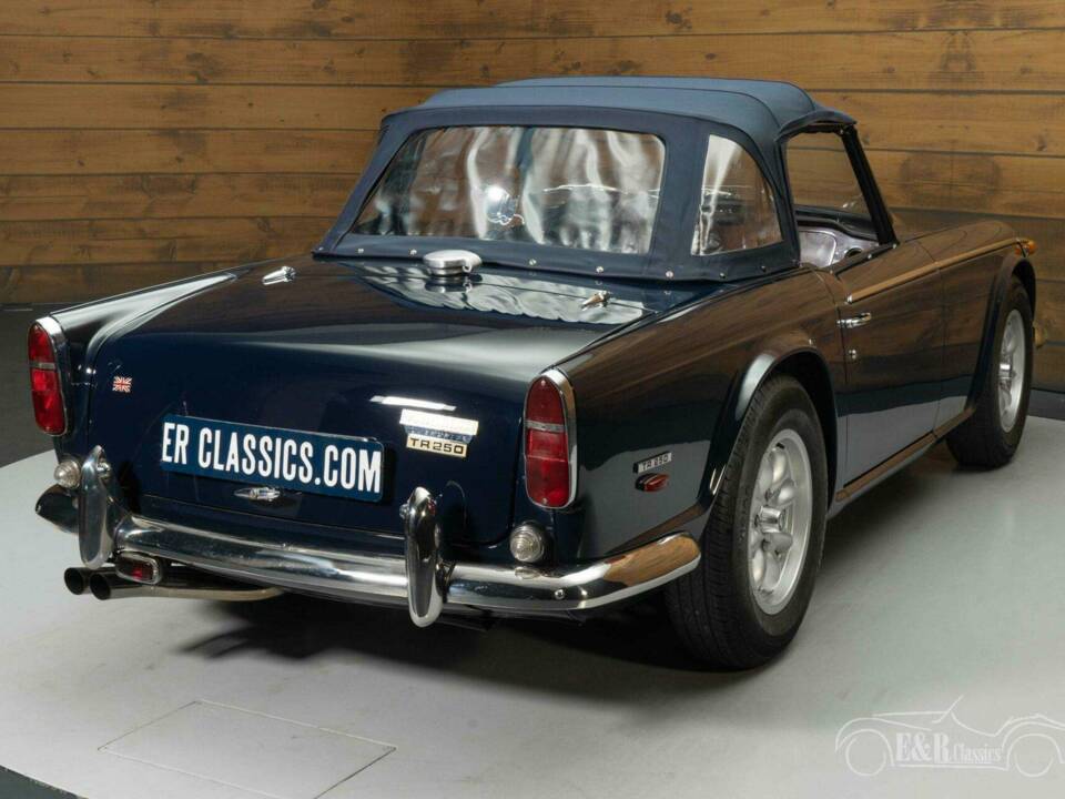 Image 13/19 of Triumph TR 250 (1968)