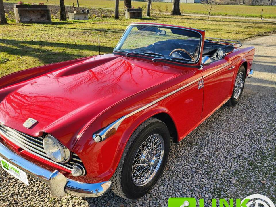 Immagine 3/10 di Triumph TR 5 PI (1968)