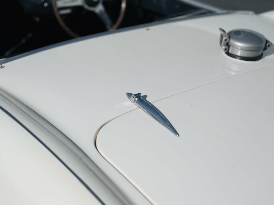 Image 24/50 of Austin-Healey 100 S (1955)