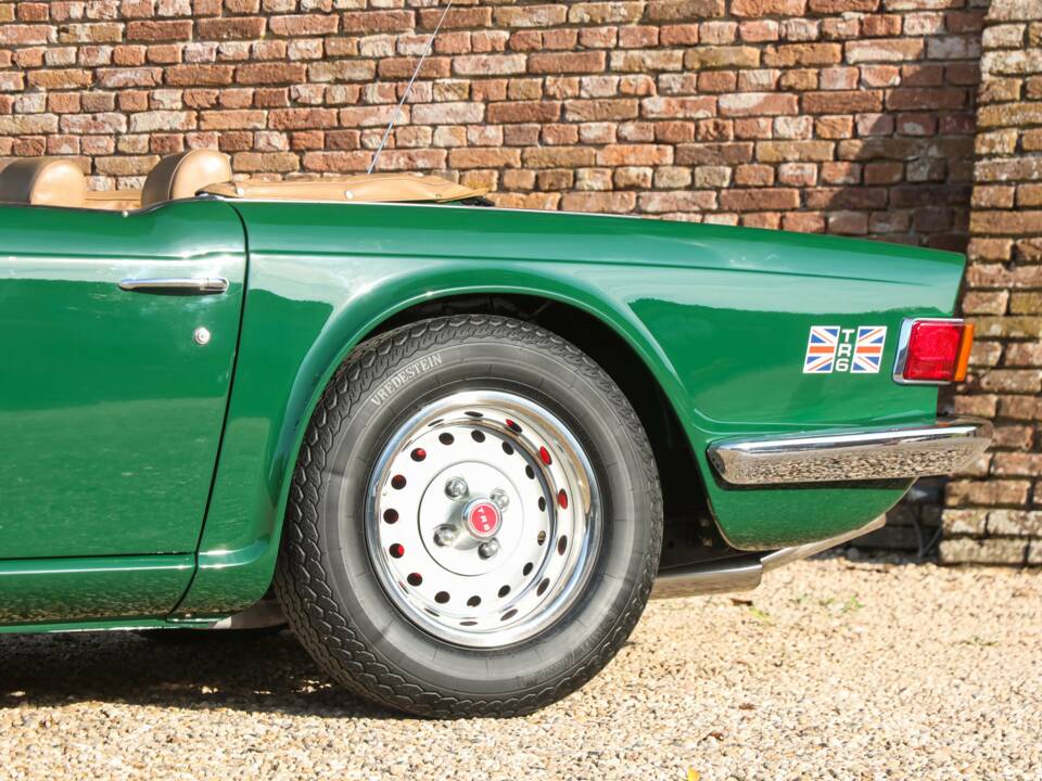 Immagine 19/50 di Triumph TR 6 (1976)