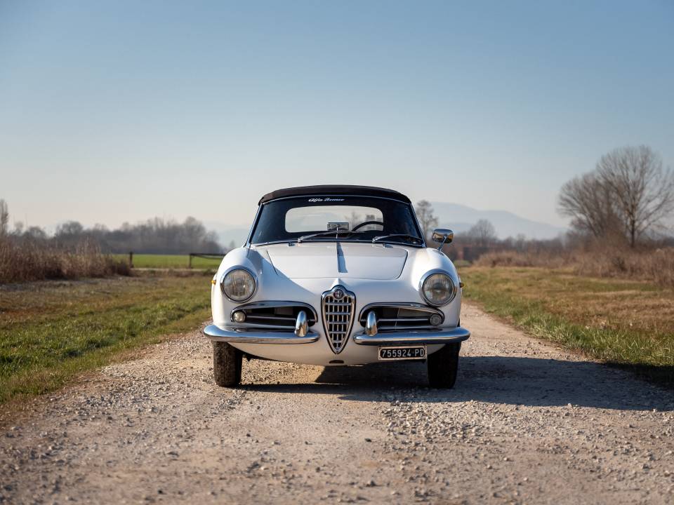 Bild 11/38 von Alfa Romeo Giulietta Spider Veloce (1959)