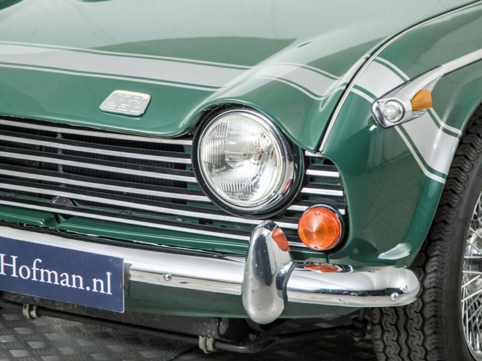 Imagen 22/50 de Triumph TR 5 PI (1968)