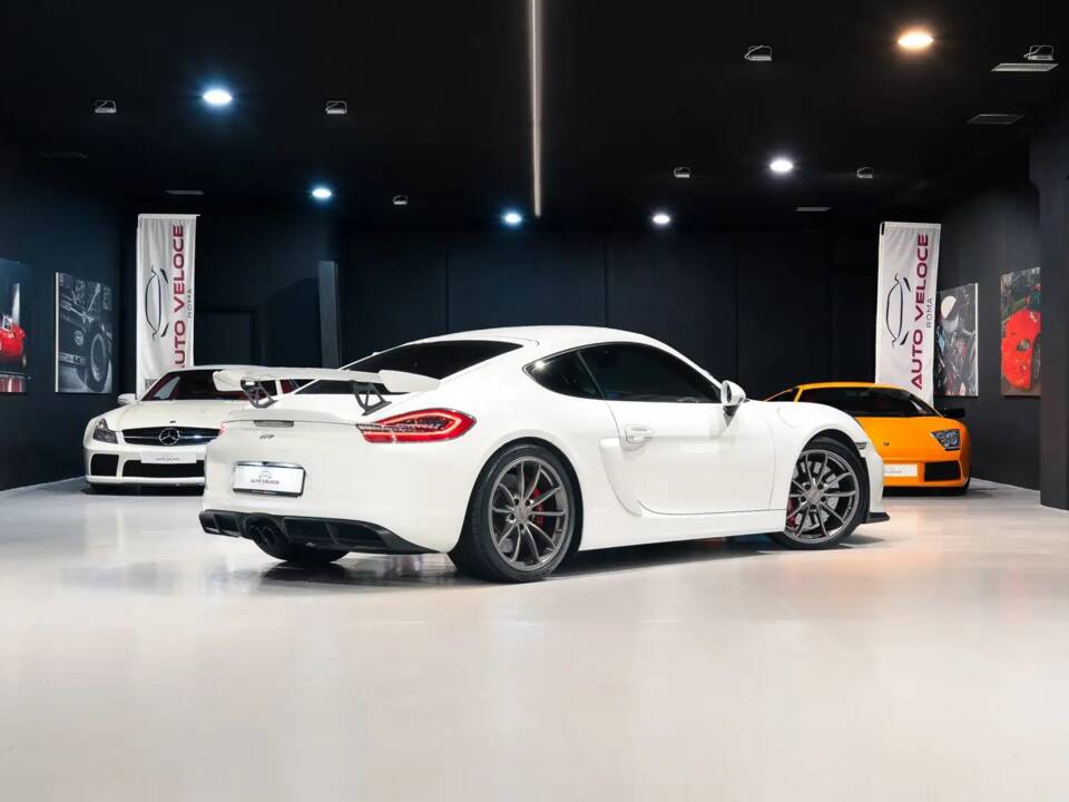 Afbeelding 14/36 van Porsche Cayman GT4 (2016)