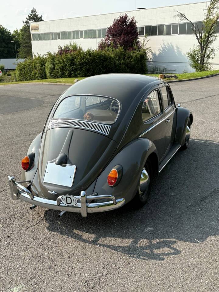 Imagen 16/48 de Volkswagen Coccinelle 1200 Export &quot;Dickholmer&quot; (1963)