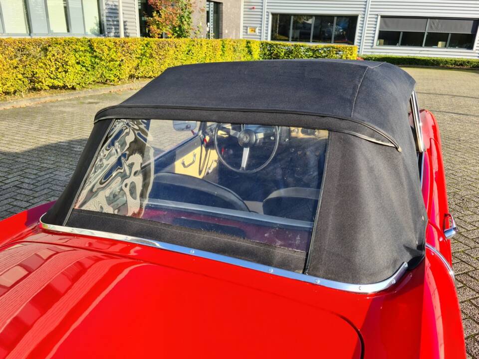 Bild 5/52 von FIAT 1200 Cabriolet (1959)