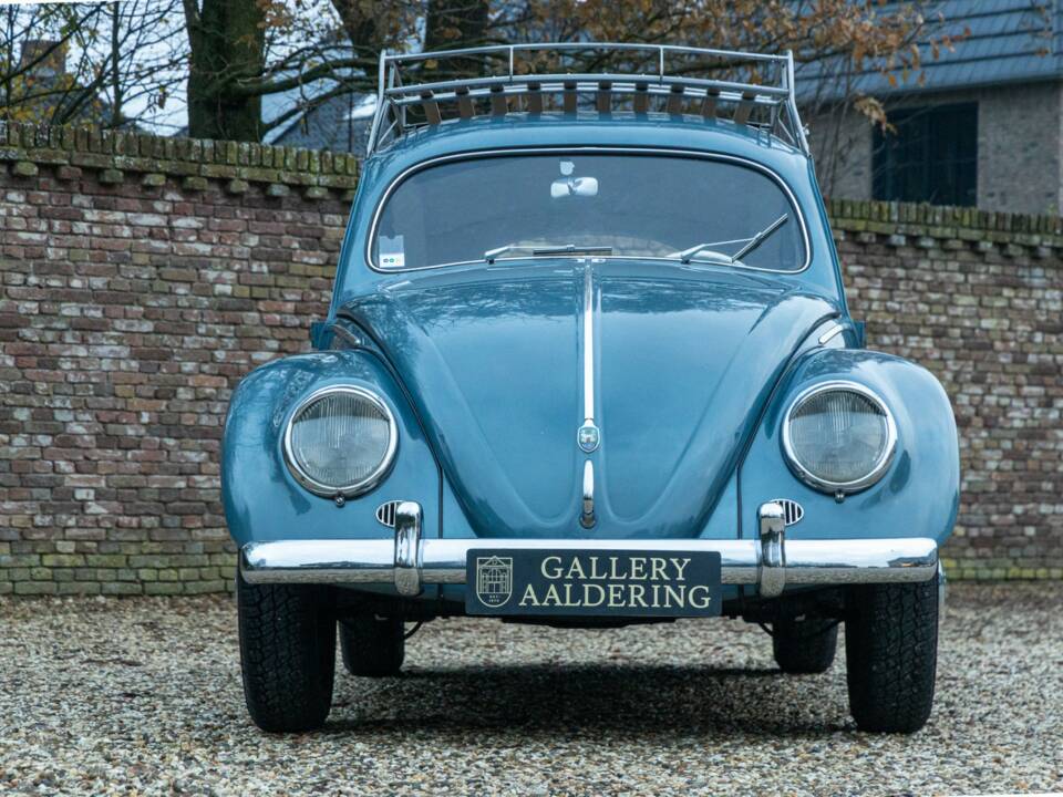 Bild 5/50 von Volkswagen Käfer 1200 Standard "Ovali" (1954)