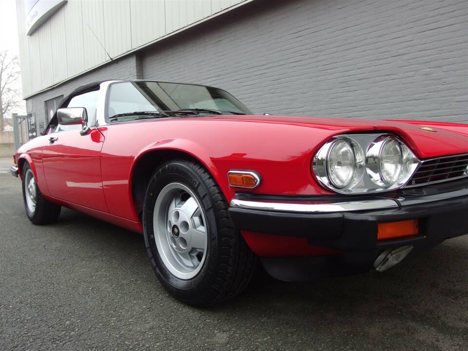 Image 17/99 de Jaguar XJS 5.3 V12 (1990)