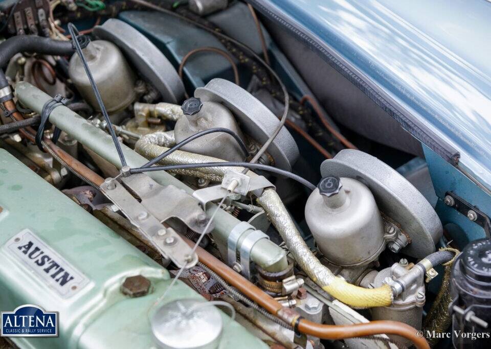 Immagine 39/44 di Austin-Healey 3000 Mk II (BN7) (1962)