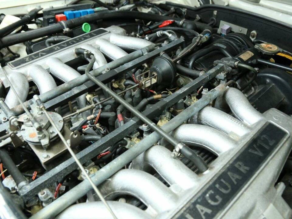 Image 46/50 de Jaguar XJS 5.3 V12 (1992)