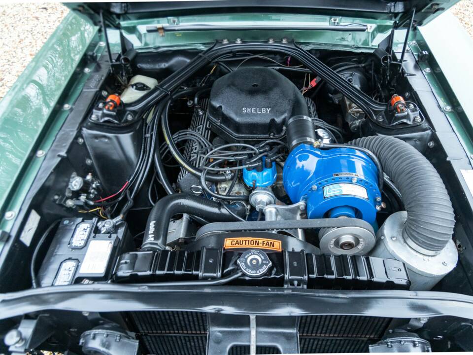 Bild 39/50 von Ford Shelby GT 350 (1968)