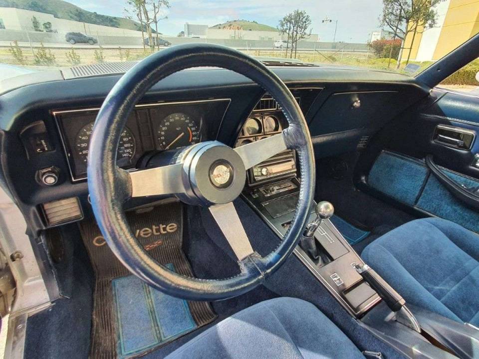 Immagine 12/19 di Chevrolet Corvette 25th Anniversary (1978)