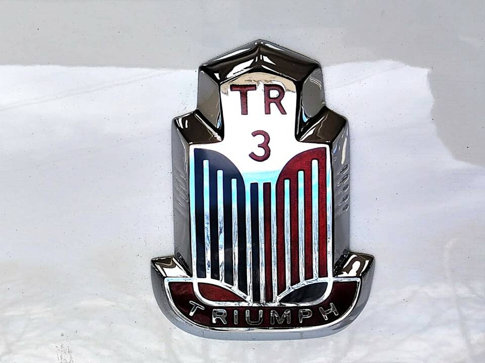 Immagine 20/80 di Triumph TR 3 (1955)