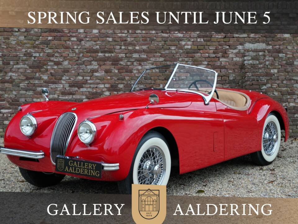 Bild 1/50 von Jaguar XK 120 OTS (1954)