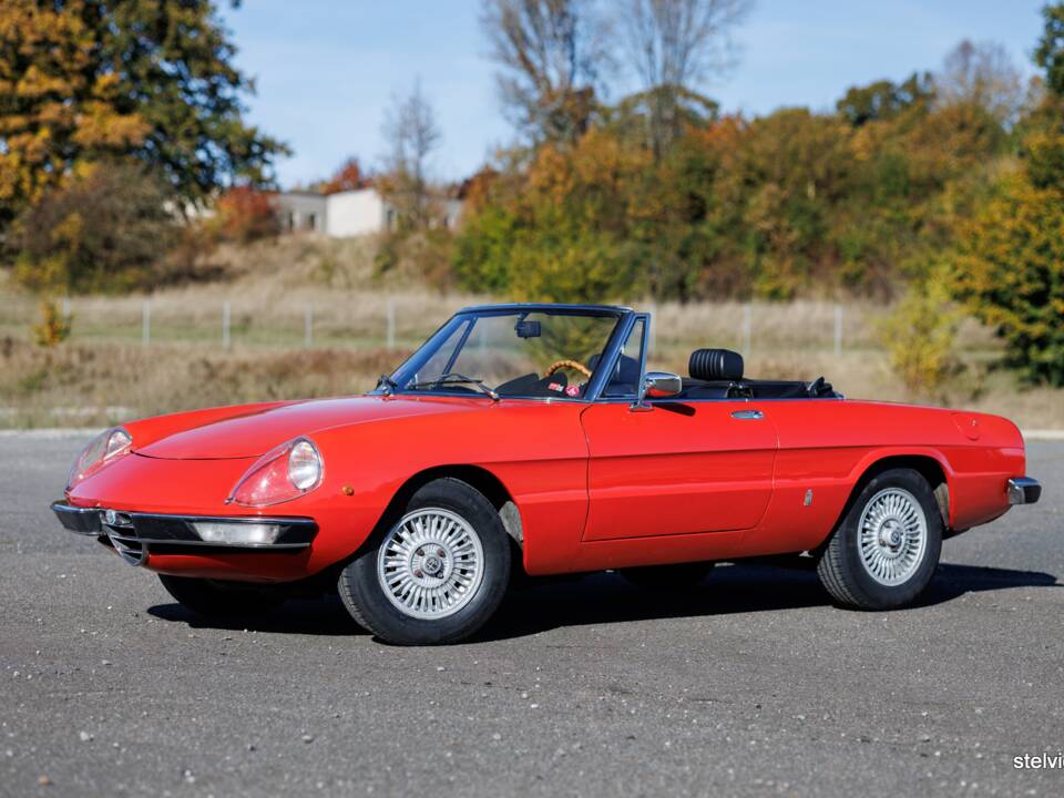 Image 3/43 of Alfa Romeo Spider Veloce 2000 (1976)