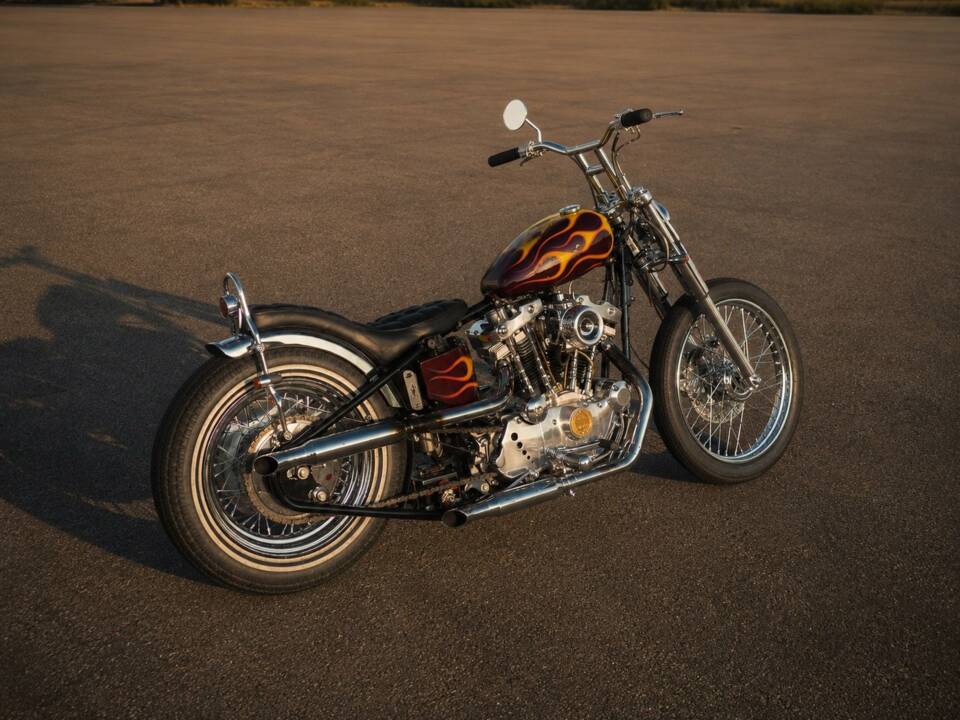 Imagen 5/24 de Harley-Davidson Easy Rider Billy Bike (1900)