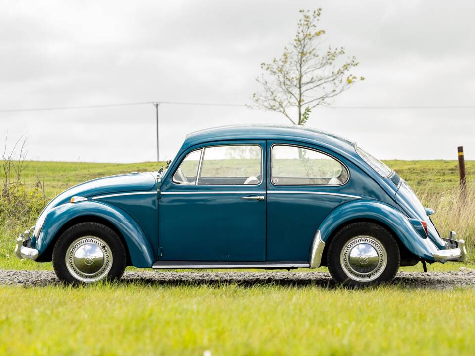 Bild 2/40 von Volkswagen Käfer 1300 (1965)