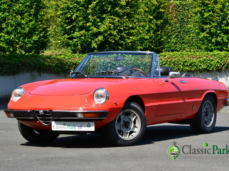 Image 1/50 of Alfa Romeo Spider Veloce 2000 (1981)