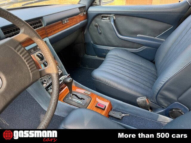 Image 10/15 of Mercedes-Benz 450 SE (1977)