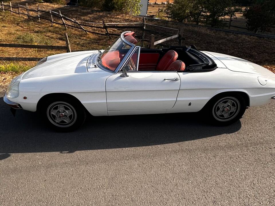 Afbeelding 12/19 van Alfa Romeo 1750 Spider (1969)