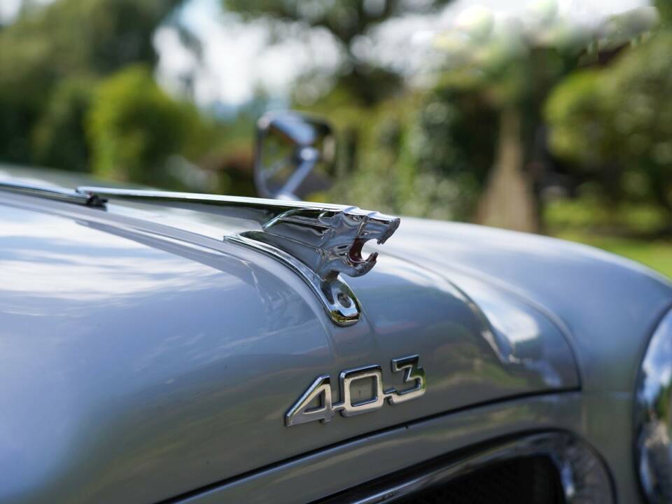 Bild 7/17 von Peugeot 403 Cabriolet (1957)