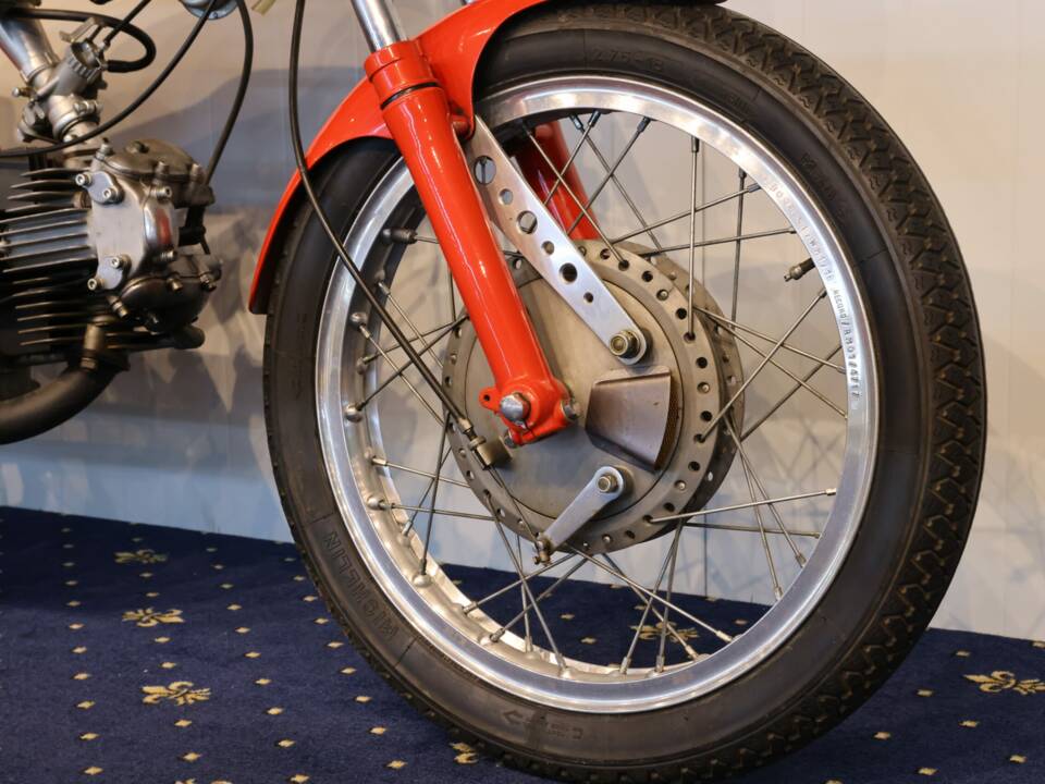 Image 12/27 of Aermacchi Ala Verde (1962)