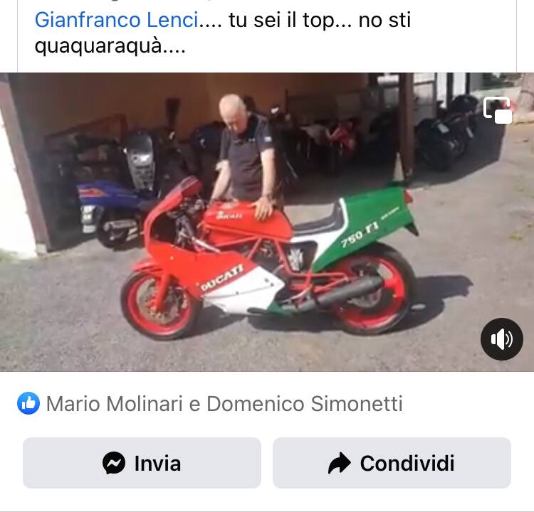 Immagine 16/50 di Ducati 750 F1 (1986)
