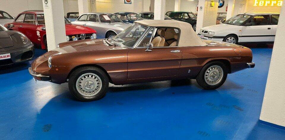 Image 11/45 of Alfa Romeo Spider Veloce 2000 (1981)
