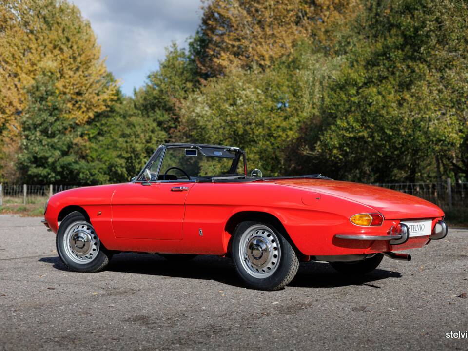 Afbeelding 9/50 van Alfa Romeo 1600 Spider Duetto (1967)