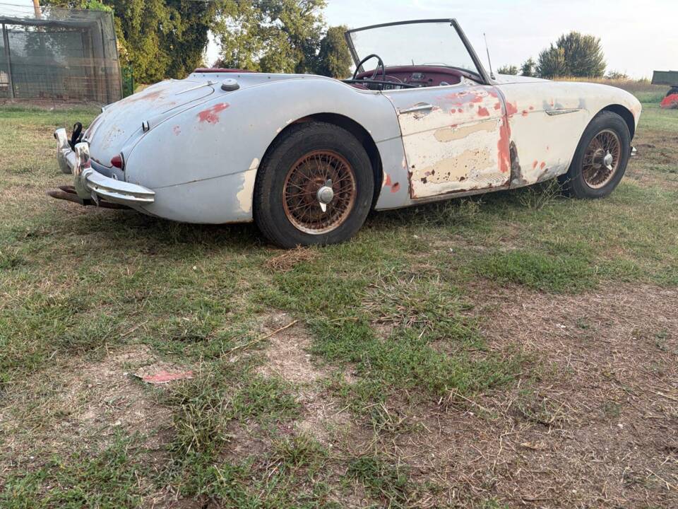 Bild 16/22 von Austin-Healey 3000 Mk II (BN7) (1960)