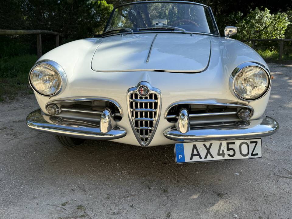 Bild 4/8 von Alfa Romeo Giulietta Spider (1960)
