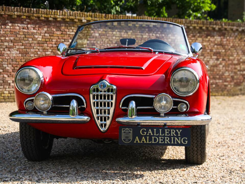 Bild 11/50 von Alfa Romeo Giulia 1600 Spider Veloce (1965)