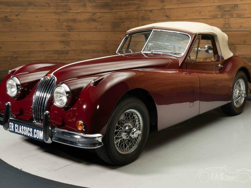 Image 15/19 of Jaguar XK 140 SE DHC (1956)