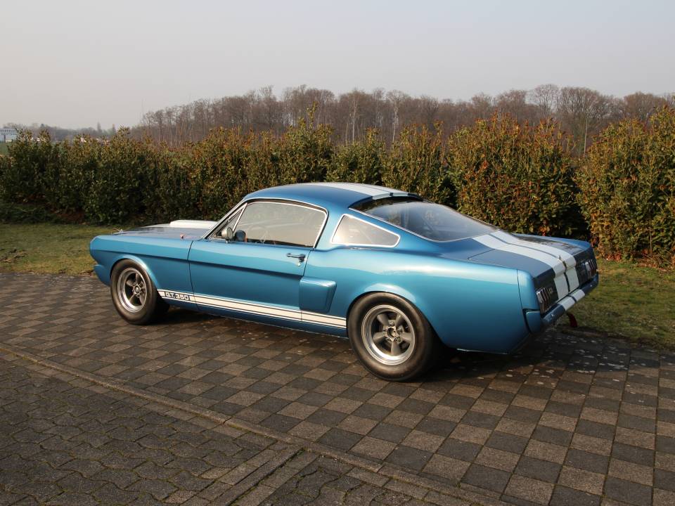 Bild 5/14 von Ford Shelby GT 350 (1966)