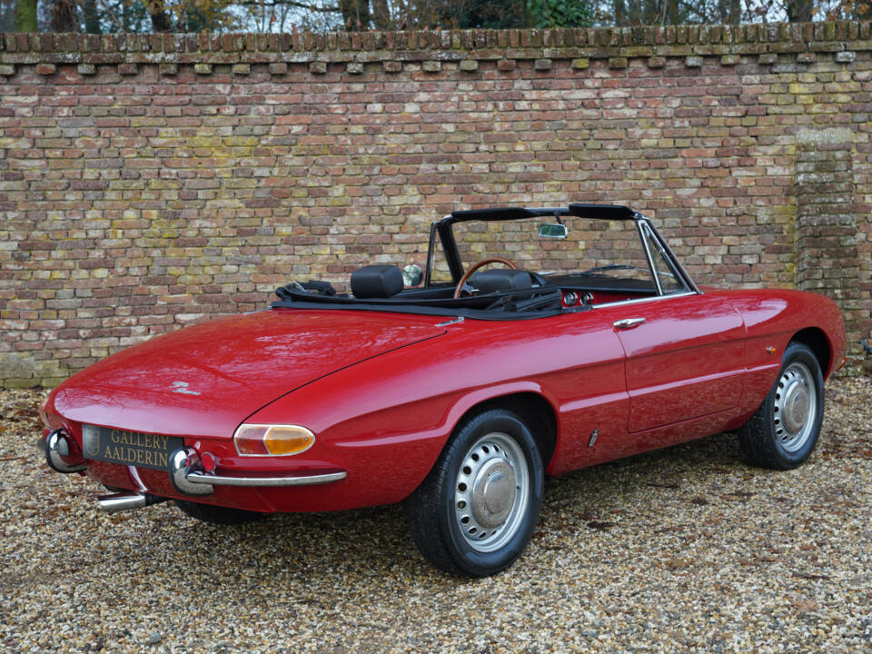 Afbeelding 2/50 van Alfa Romeo 1600 Spider Duetto (1967)