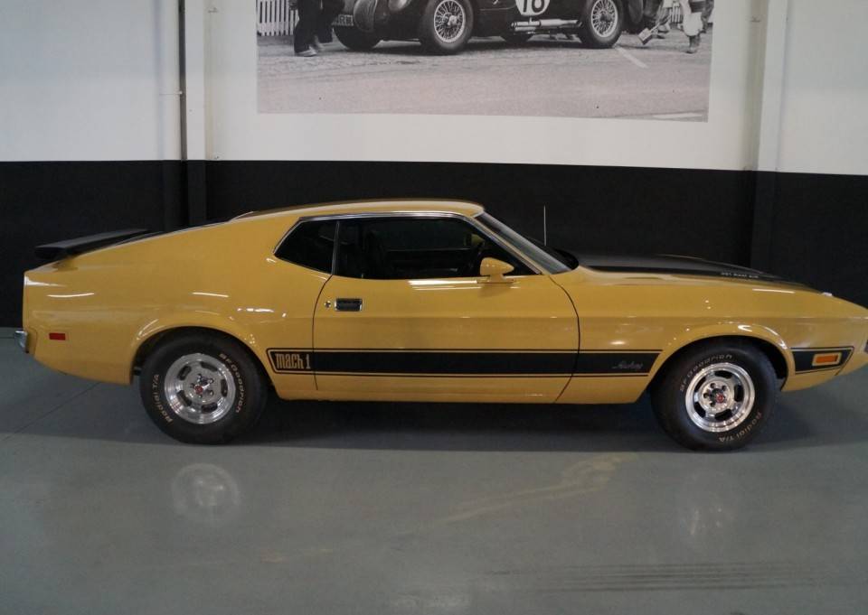 Image 12/46 of Ford Mustang Mach 1 (1972)