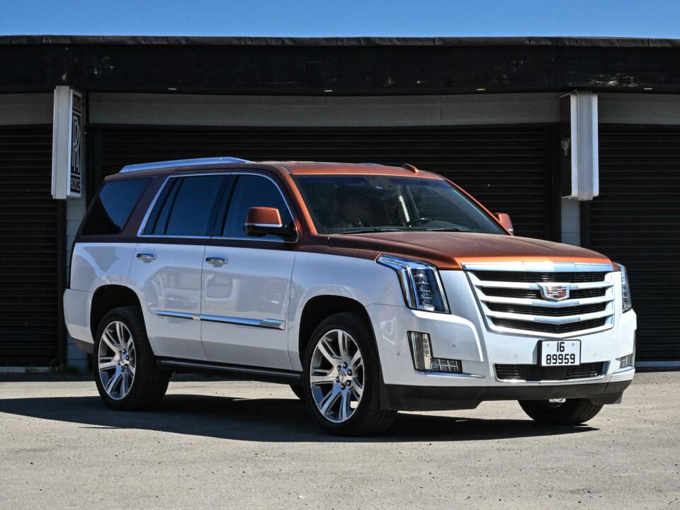 Bild 14/50 von Cadillac Escalade (2019)