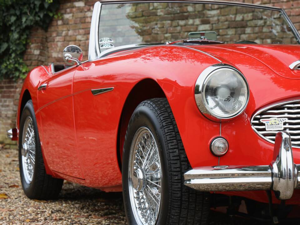 Image 48/50 de Austin-Healey 100/6 (BN4) (1959)