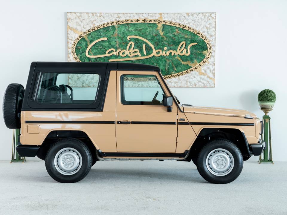 Bild 12/50 von Mercedes-Benz 300 GE (kurz) (1990)