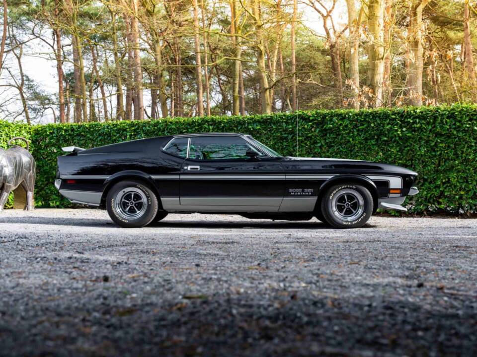 Immagine 32/48 di Ford Mustang Boss 351 (1970)
