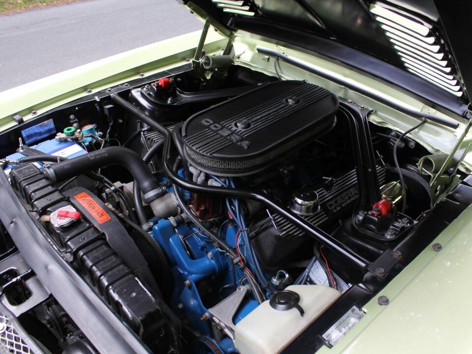 Image 15/18 of Ford Shelby GT 500 (1968)