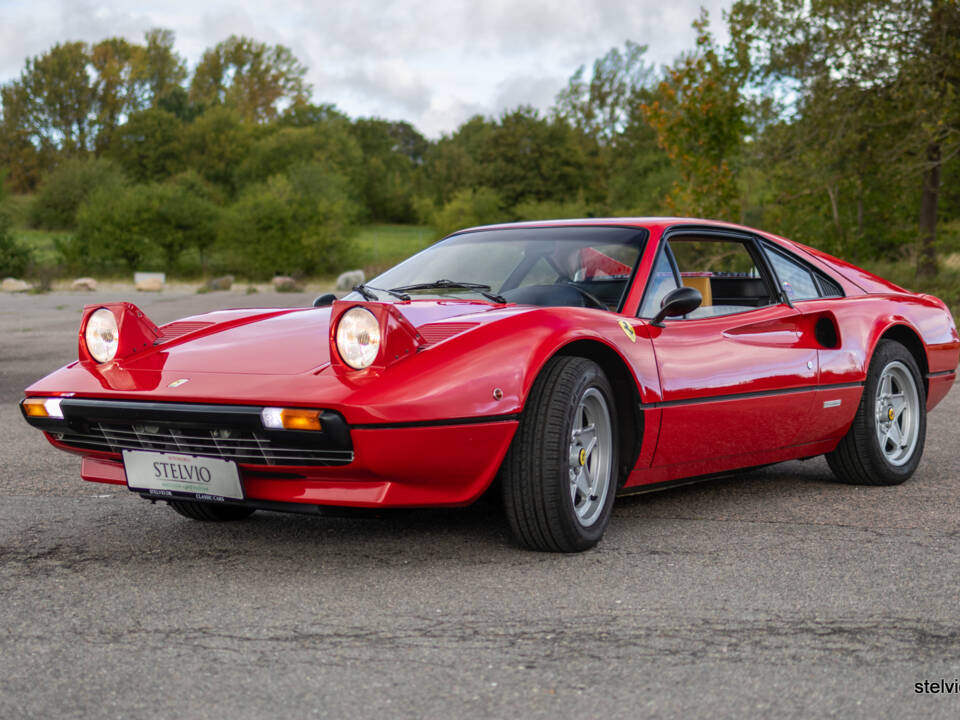 Image 17/65 of Ferrari 308 GTB (1978)