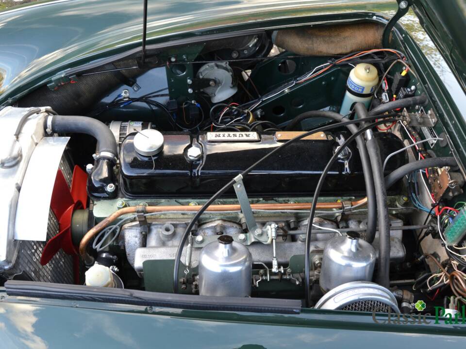 Bild 44/50 von Austin-Healey 3000 Mk III (BJ8) (1967)
