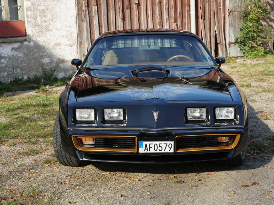 Image 6/69 of Pontiac Firebird TransAm (1979)