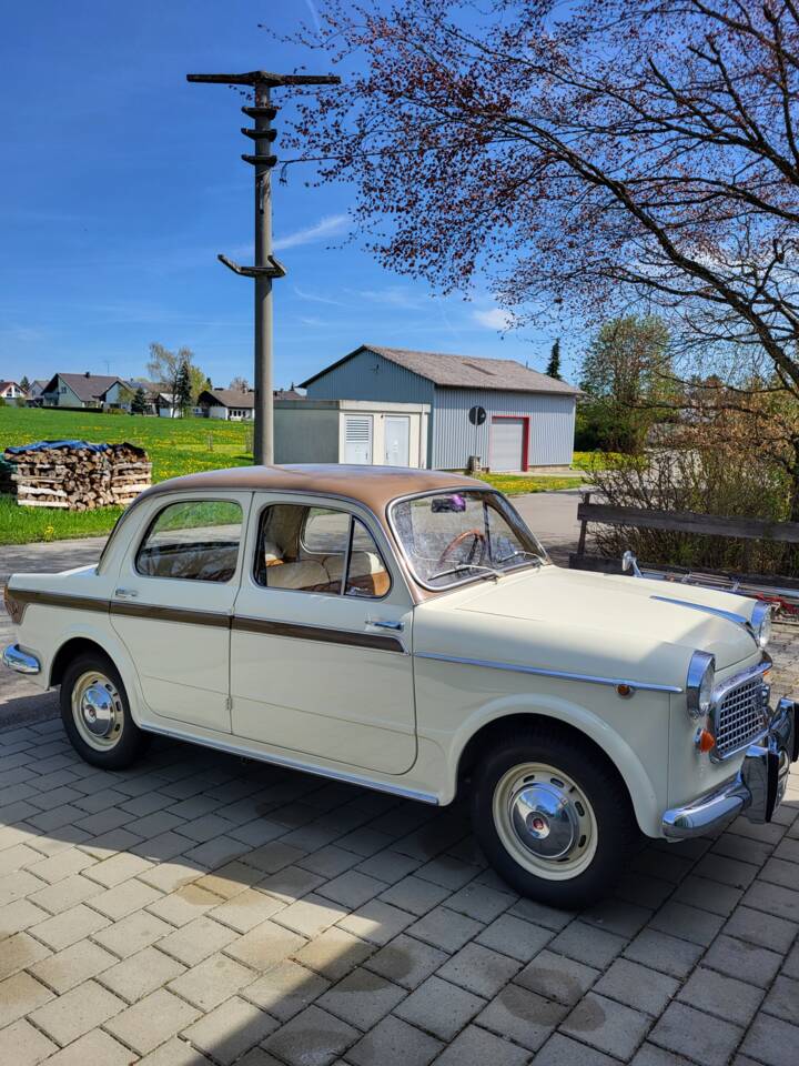 Immagine 3/13 di Steyr-Fiat 1100 (1960)