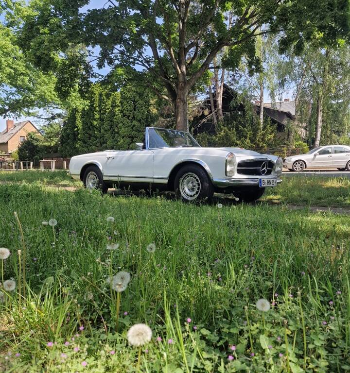 Image 7/100 de Mercedes-Benz 250 SL (1967)