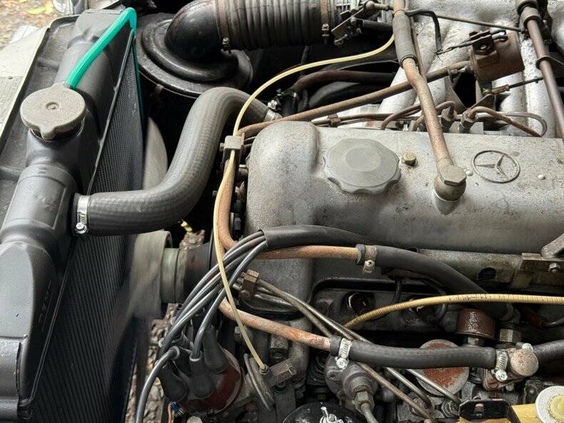 Bild 41/50 von Mercedes-Benz 220 SE b (1966)