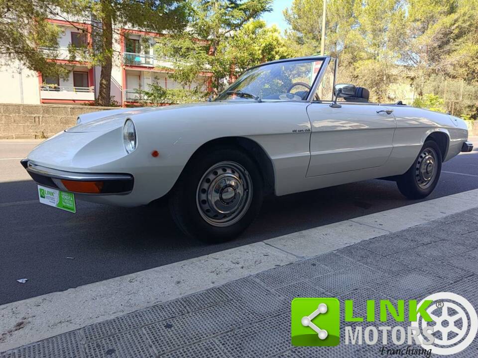 Bild 6/10 von Alfa Romeo Spider 1600 Junior (1975)