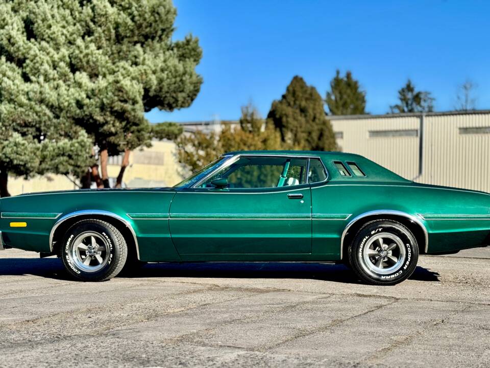 Image 8/19 of Ford Elite (1976)